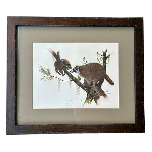 Framed Don Balke Print – Raccoons 1981 Signed Wildlife Art - Picture 1 of 3